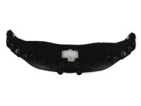 Mopar 68127949AB Sight Shield, Front