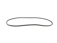 Mopar 68313522AD Weatherstrip On Body, Rear Inner Passenger Side