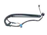 Mopar 68043333AA Wire Track Sliding Door Left, Driver Side
