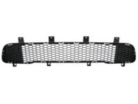 Mopar 5UP87RXFAA Lower Grille, Front