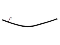 Mopar 57010505AE Molding Front Door