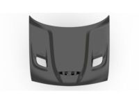 Mopar 68259672AF Hood, Front