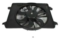 Mopar 68050129AA Fan Motor, Front