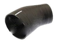 Mopar 52027990AB Hose
