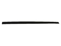 Mopar ZR64TZZAB Side Molding