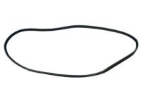 Mopar 68226159AA Weatherstrip, Front Door