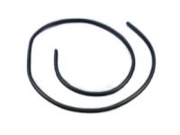 Mopar 1KW33DX9AC Weatherstrip Front Door Opening On Body