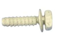 Mopar 68029031AA Motor Screw