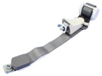Mopar ZV721D5AB Outer Belt, Rear Passenger Side