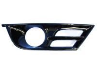 Mopar 68203016AB Bezel Adaptive Cruise Control
