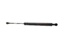 Mopar 68252748AB Lift Cylinder