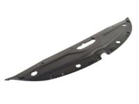 Mopar 68110455AD Sight Shield, Front