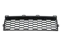 Mopar 5XB41LXHAA Lower Grille, Front Center