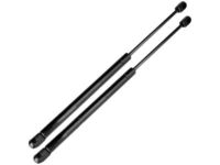 Mopar 55360171AD Lift Cylinder