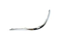 Mopar 68143463AB Applique, Rear Driver Side