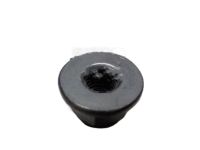 Mopar 6106170AA Control Module Nut