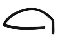 Mopar 55394053AD Seal Front Door Glass