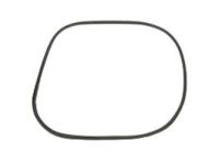 Mopar WT93XXXAC Body Weatherstrip, Front