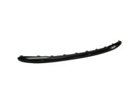 Mopar 6DE39TZZAA Applique Fascia