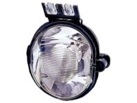 Mopar 55077474AD Lamp And Bracket Fog Lamp