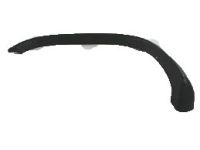 Mopar 5GG07TZZAB Wheel Opening Molding, Driver Side