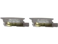 Mopar 68088801AA Lamp Courtesy