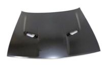 Mopar 68259671AC Hood