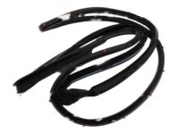 Mopar 68188724AD Weatherstrip Front Door Opening