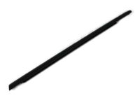 Mopar 4806001AF Belt Molding, Rear Driver Side