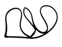 Mopar 4717720AA Door Weatherstrip, Front Outer Passenger Side