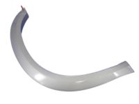 Mopar 1FV90CDMAB Molding Wheel Opening Flare Front