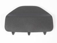 Mopar 1VV31DX9AA Access Cover, Black, Rear
