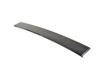 Mopar 68187812AE Applique, Front Passenger Side