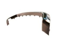 Mopar 68223776AA Lower Molding, Front