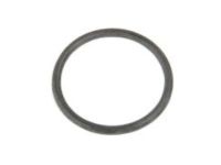 Mopar 5139107AA O Ring AT Thermostat
