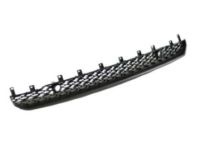 Mopar 68274572AA Lower Grille, Front