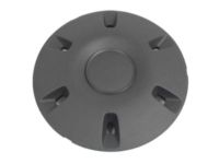 Mopar 68025431AA Wheel Cap, Center