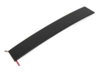 Mopar 5020664AC Applique B Pillar