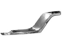 Mopar 68170062AB Applique, Front Passenger Side