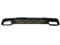Mopar 68384294AA Lower Grille, Front