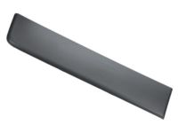Mopar 1ZT29LAHAA Body Side Molding, Rear Passenger Side