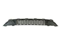 Mopar 68245344AD Lower Grille, Front