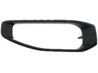 Mopar 6BU58TZZAA Trim Bezel, Front Outer Passenger Side