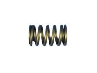 Mopar 5048005AA Valve Springs