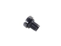 Mopar 4893378AA Screw Bleeder, Front