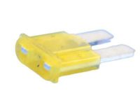 Mopar 68100746AB Mini Fuse, Front