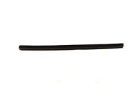 Mopar 4724765AD Weatherstrip Front Door Belt Inner