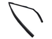 Mopar 55399189AE Weatherstrip Rear Door Glass Running