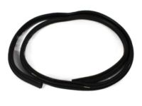 Mopar 55277293AA Weatherstrip On Body, Rear Inner