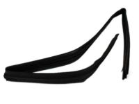 Mopar 55399190AG Weatherstrip Front Door Glass Running